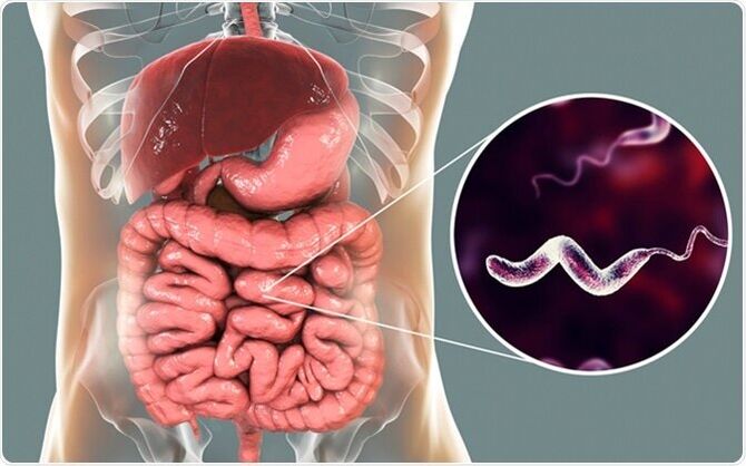 Parasites release toxins into the body, and Vermixin medicine will help you get rid of them! 